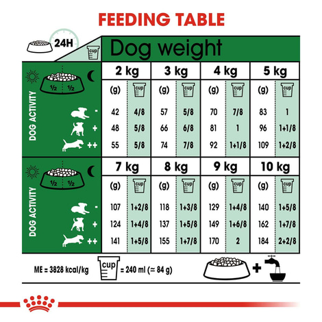 ROYAL CANIN MINI Ageing 12+