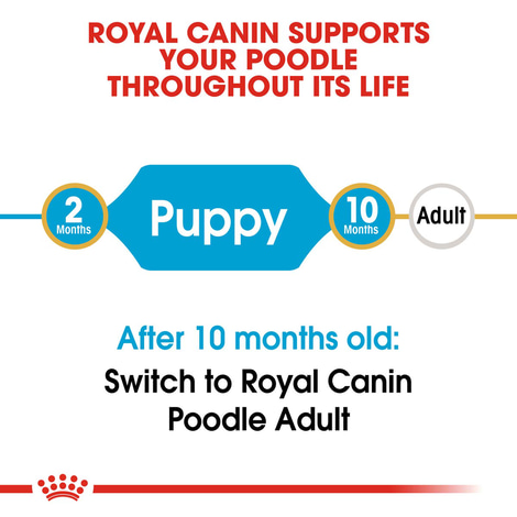 Royal Canin Poodle Junior