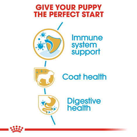 Royal Canin Poodle Junior