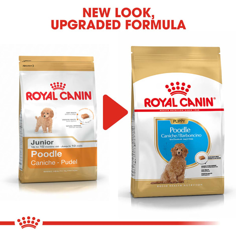 Royal Canin Poodle Junior