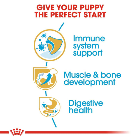 Royal Canin Rottweiler Junior