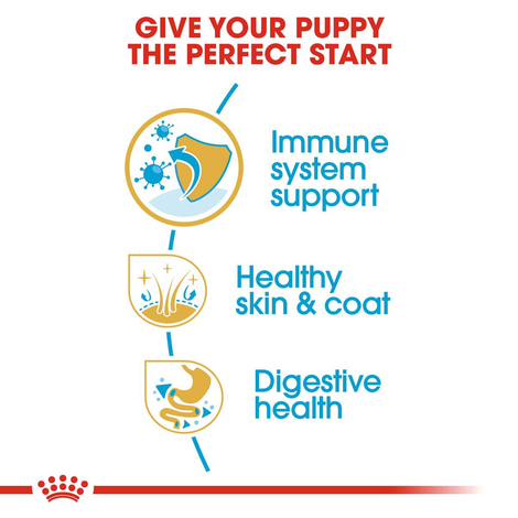 Royal Canin Shih Tzu 28 Junior