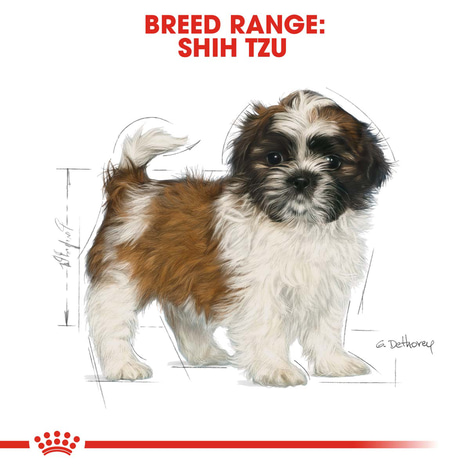 Royal Canin Shih Tzu 28 Junior
