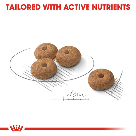 ROYAL CANIN STERILISED MINI