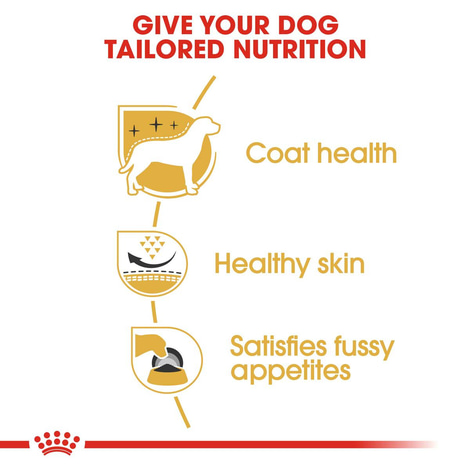 ROYAL CANIN West Highland White Terrier