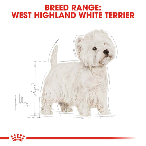 ROYAL CANIN West Highland White Terrier
