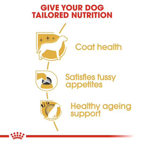 ROYAL CANIN Yorkshire Terrier Adult granule pro psy