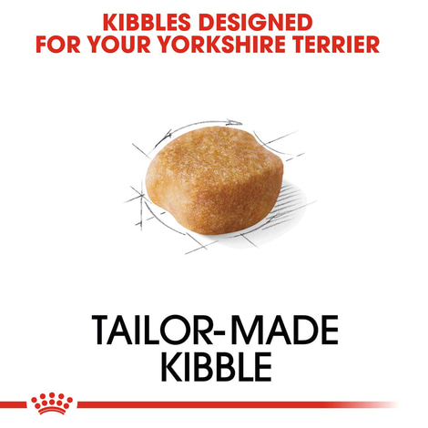 ROYAL CANIN Yorkshire Terrier Adult granule pro psy