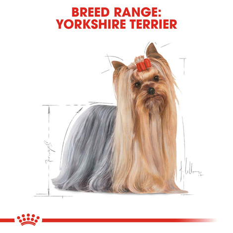 ROYAL CANIN Yorkshire Terrier Adult granule pro psy
