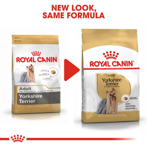 ROYAL CANIN Yorkshire Terrier Adult granule pro psy