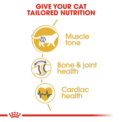 ROYAL CANIN British Shorthair granule pro britské krátkosrsté kočky