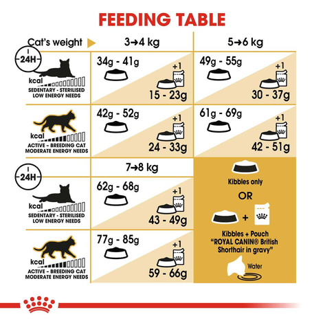 ROYAL CANIN British Shorthair granule pro britské krátkosrsté kočky