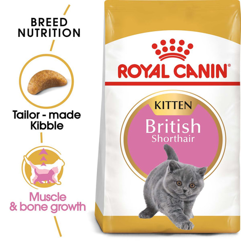 ROYAL CANIN British Shorthair suché krmivo pro koťata
