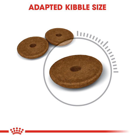ROYAL CANIN Digestive Care granule pro kočky s citlivým zažíváním