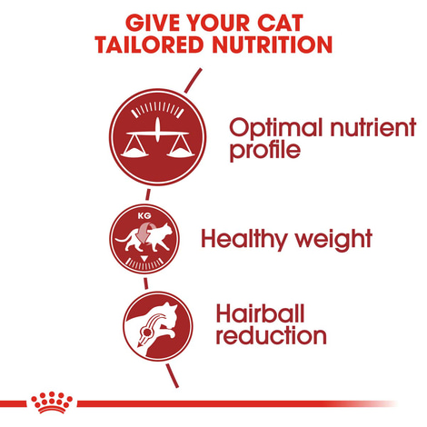 ROYAL CANIN FIT granule pro aktivní kočky