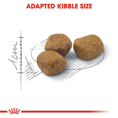 ROYAL CANIN FIT granule pro aktivní kočky