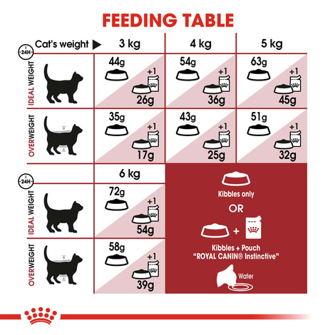 ROYAL CANIN FIT granule pro aktivní kočky