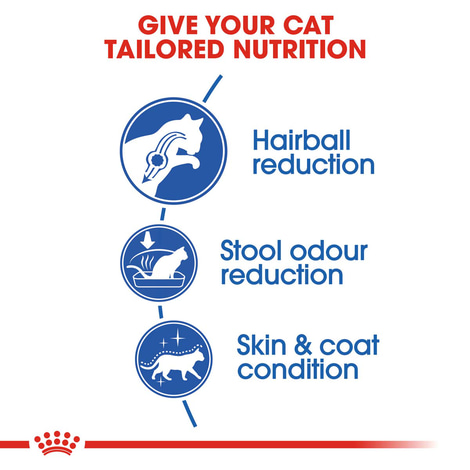 Royal Canin Long Hair 35