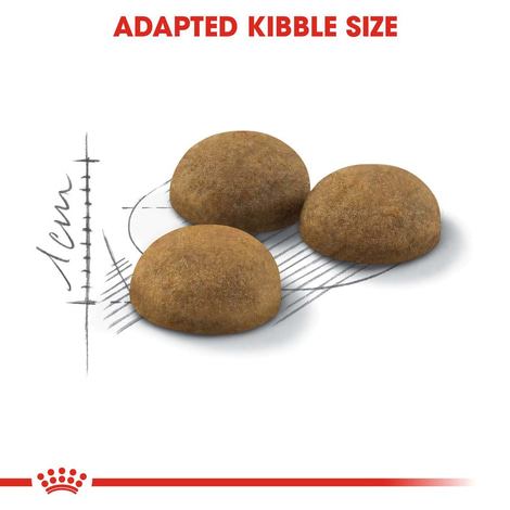 Royal Canin Long Hair 35