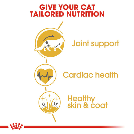 ROYAL CANIN Maine Coon Adult granule pro kočky