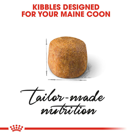 ROYAL CANIN Maine Coon Adult granule pro kočky