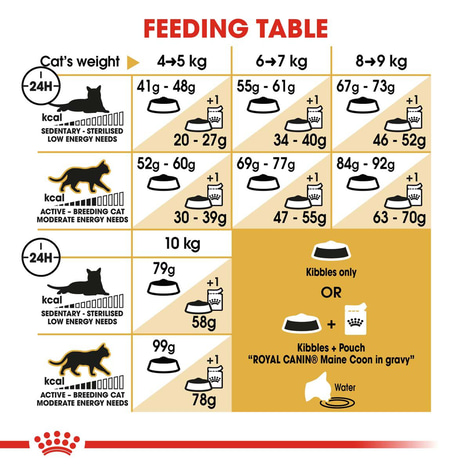 ROYAL CANIN Maine Coon Adult granule pro kočky