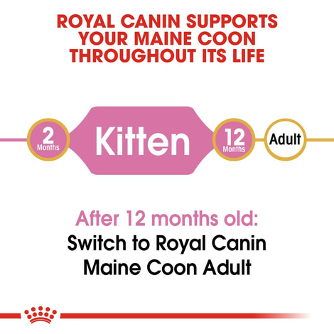 ROYAL CANIN Maine Coon granule pro koťata