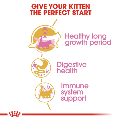 ROYAL CANIN Maine Coon granule pro koťata