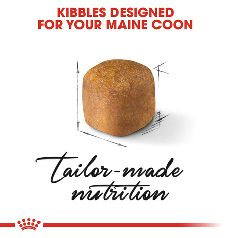 ROYAL CANIN Maine Coon granule pro koťata