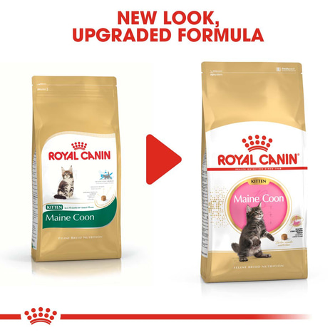 ROYAL CANIN Maine Coon granule pro koťata