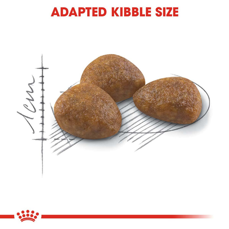 ROYAL CANIN OUTDOOR 7+ granule pro starší venkovní kočky
