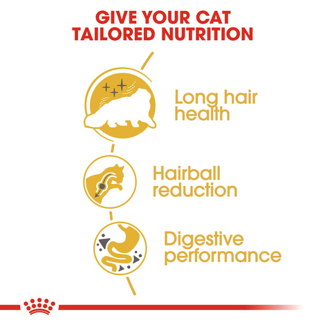 Royal Canin Persian 30