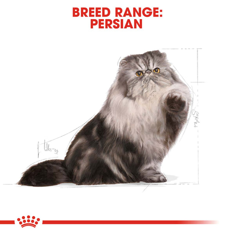 Royal Canin Persian 30