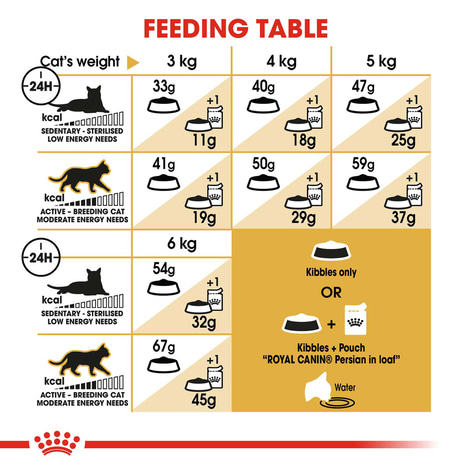 Royal Canin Persian 30