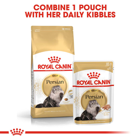 Royal Canin Persian 30