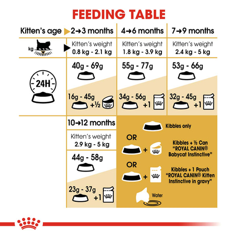 Royal Canin Kitten Persian