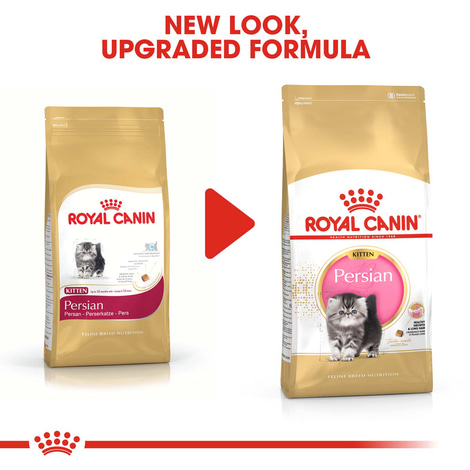 Royal Canin Kitten Persian