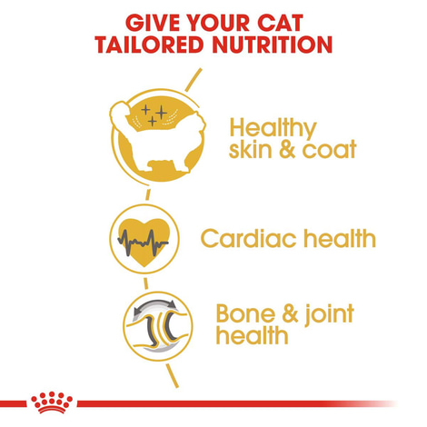 ROYAL CANIN Ragdoll Adult granule pro kočky