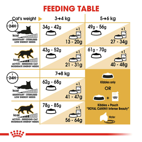ROYAL CANIN Ragdoll Adult granule pro kočky