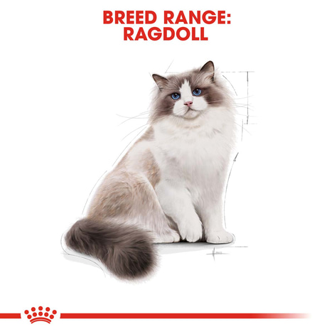 ROYAL CANIN Ragdoll Adult granule pro kočky