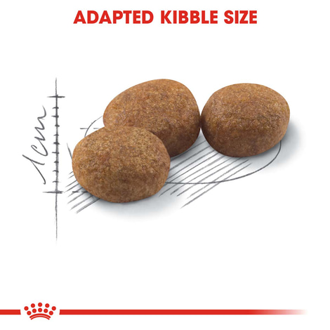 ROYAL CANIN STERILISED granule pro kastrované kočky