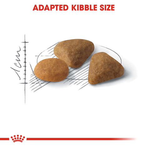 ROYAL CANIN SAVOUR EXIGENT granule pro vybíravé kočky