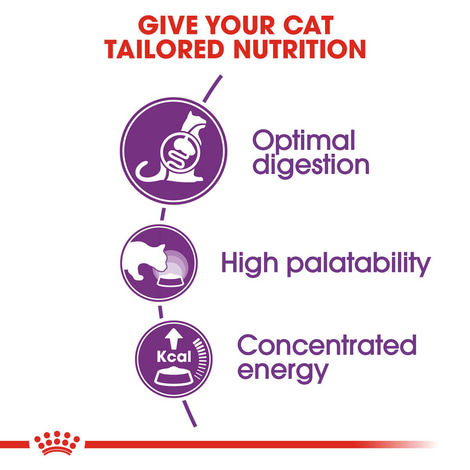 ROYAL CANIN SENSIBLE granule pro kočky s citlivým zažíváním