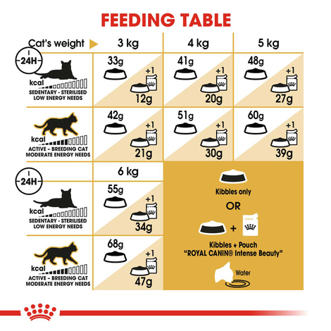 ROYAL CANIN Siamese Adult granule pro kočky