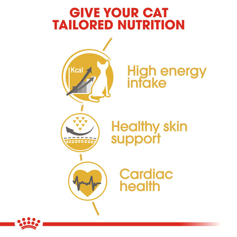 ROYAL CANIN Sphynx Adult granule pro kočky