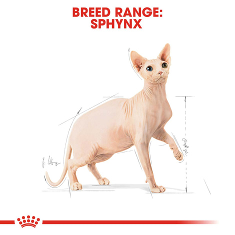 ROYAL CANIN Sphynx Adult granule pro kočky