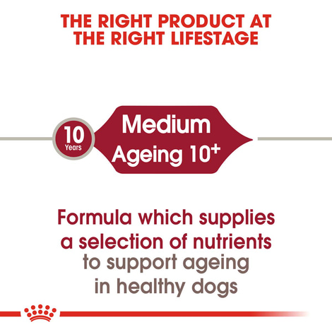 ROYAL CANIN MEDIUM Ageing 10+