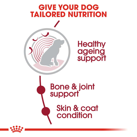 ROYAL CANIN MEDIUM Ageing 10+