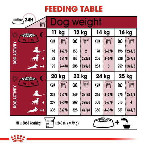 ROYAL CANIN MEDIUM Ageing 10+