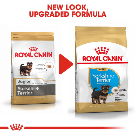 Royal Canin Yorkshire Terrier 29 Junior